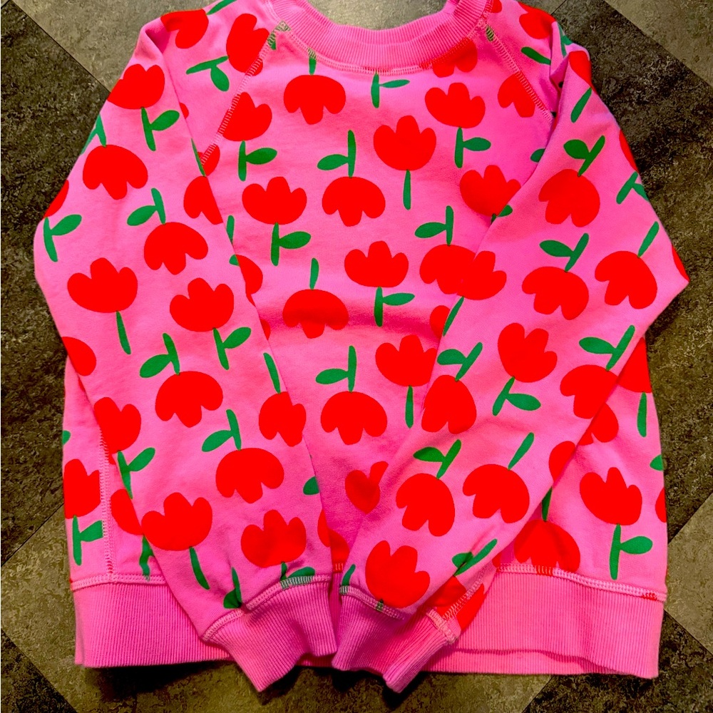 Hanna Sweatshirt / size 10 / never worn